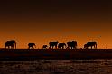 030 Chobe NP, olifanten